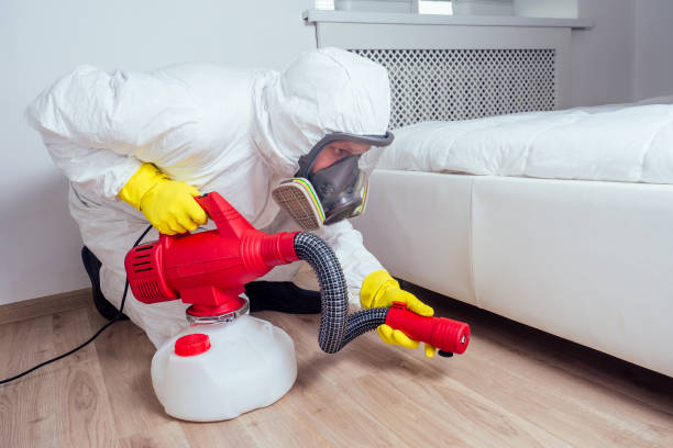Best Pest Control Cost  in Woodcrest, CA