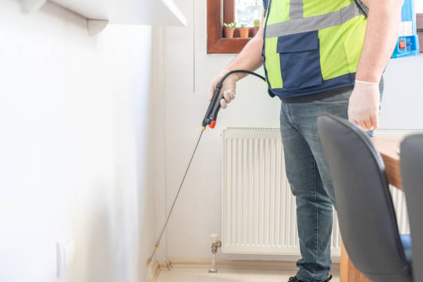 Best Termite Control Services  in Woodcrest, CA