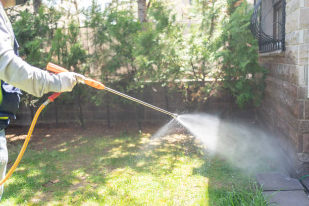Best Commercial Pest Control Services  in Woodcrest, CA