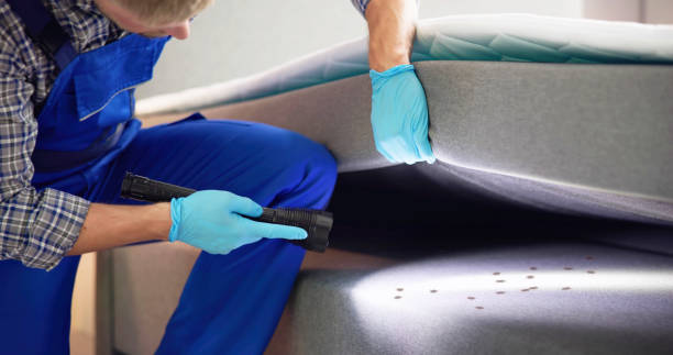 Best Bed Bug Extermination  in Woodcrest, CA