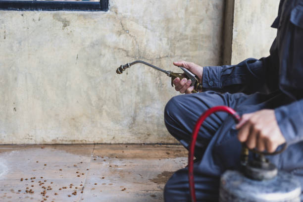 Best Exterminator Services  in Woodcrest, CA